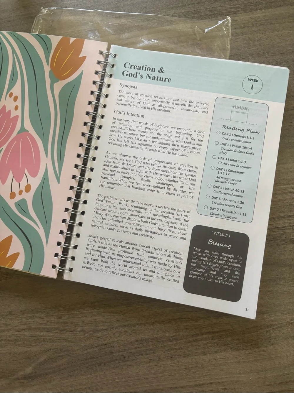 The Bible in a Year Spiral Notebook - Floral Cover (Peach, Green, Orange, Pink)